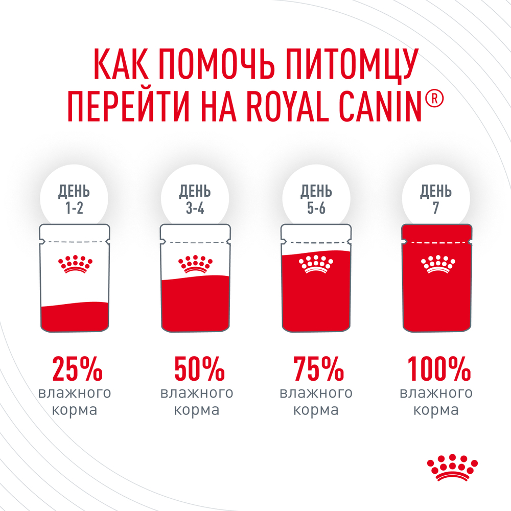 Royal Canin Intense Beauty Care Влажный корм (пауч) для поддержания здоровья кожи и блеска шерсти кошек, тонкие ломтики в соусе, 85 гр. 7