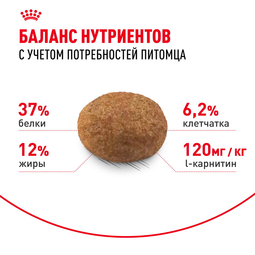 Royal Canin Sterilised 37 Regular Сухой корм для стерилизованных кошек с 1 до 7 лет, 200 гр. 5
