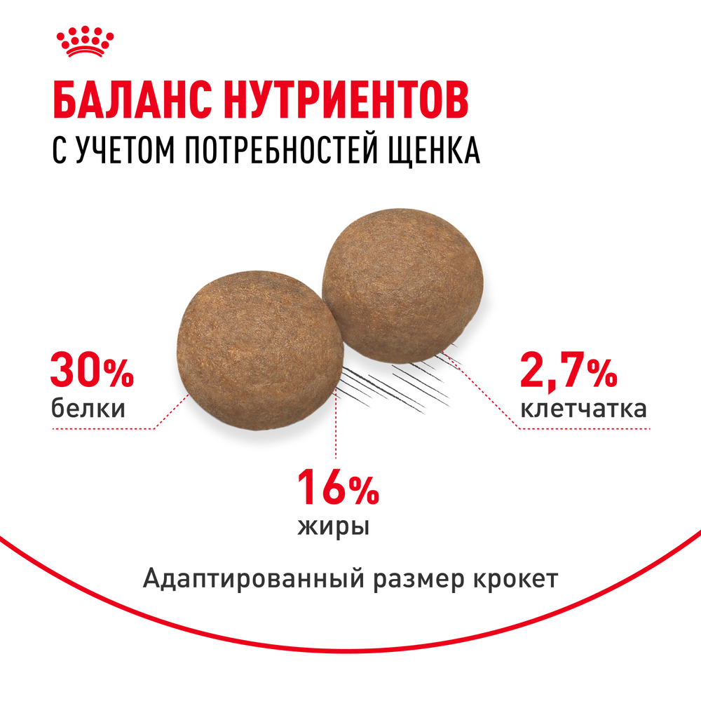 Royal Canin Maxi Puppy Сухой корм для щенков крупных пород в возрасте от 2 до 15 месяцев, 3 кг 4