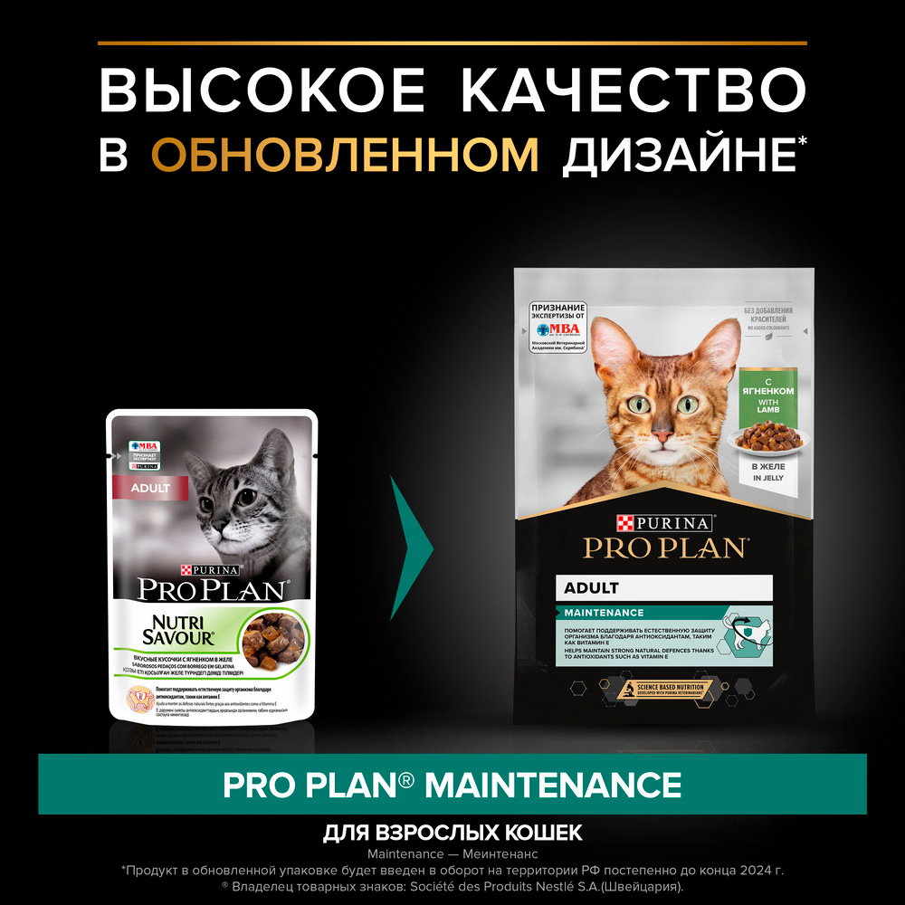 PRO PLAN® Maintenance Влажный корм (пауч) для взрослых кошек, с ягненком в желе, 85 гр. 2