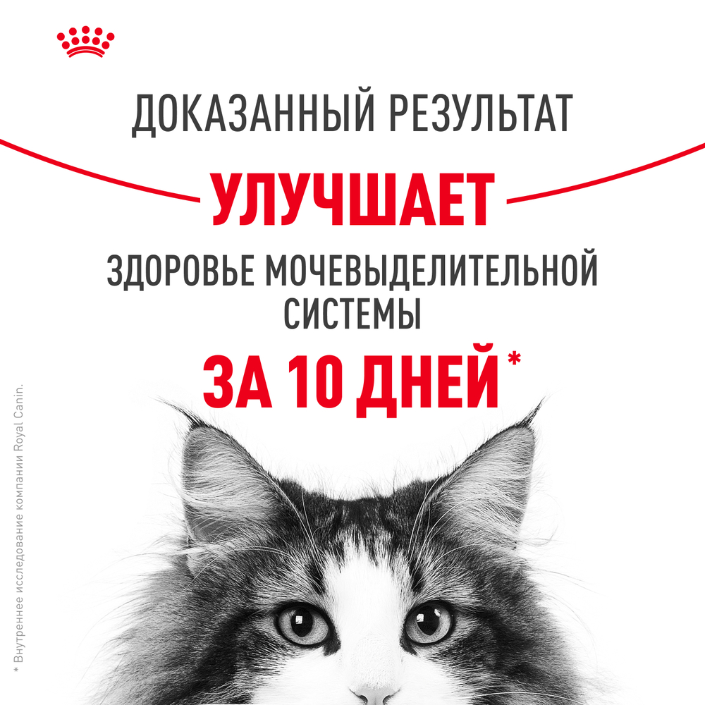 Royal Canin Urinary Care Влажный корм (пауч) для поддержания здоровья мочевыделительной системы у взрослых кошек, в соусе, 85 гр. 11