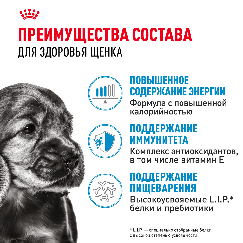 Royal Canin Mini Puppy Влажный корм (пауч) для щенков мелких пород, 85 гр. 3