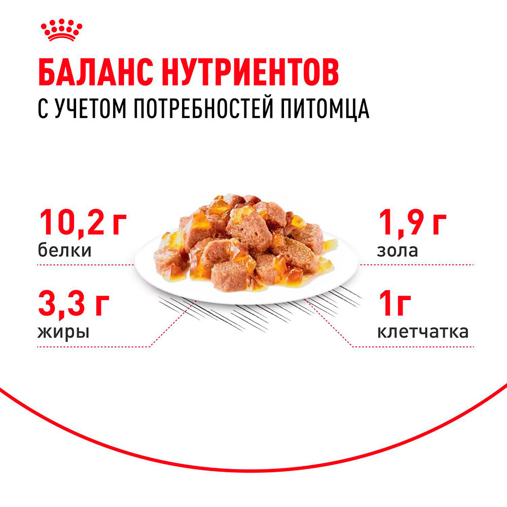 Royal Canin INDOOR 7+ Влажный корм (пауч) для пожилых кошек старше 7 лет, кусочки в желе, 85 гр. 5