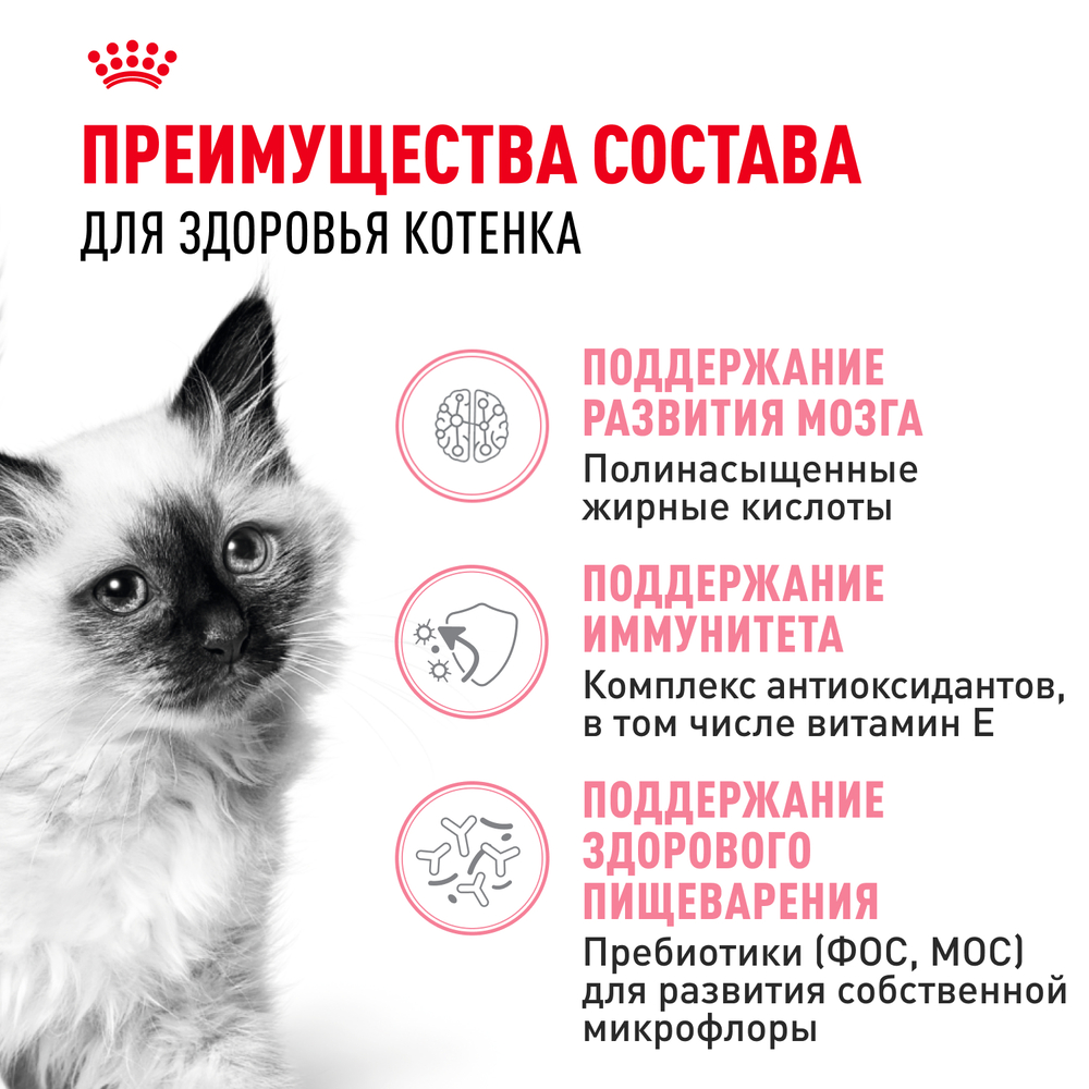 Royal Canin Kitten 36 Second Age Сухой корм для котят в возрасте от 4 до 12 месяцев, 300 гр. 3