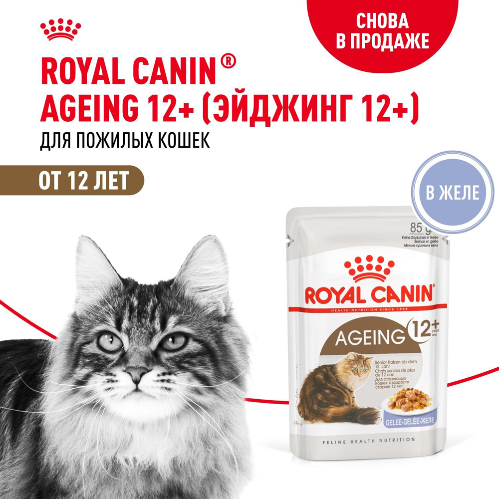 Royal Canin Ageing 12+ Влажный корм (пауч) для пожилых кошек старше 12 лет, кусочки в желе, 85 гр. 2
