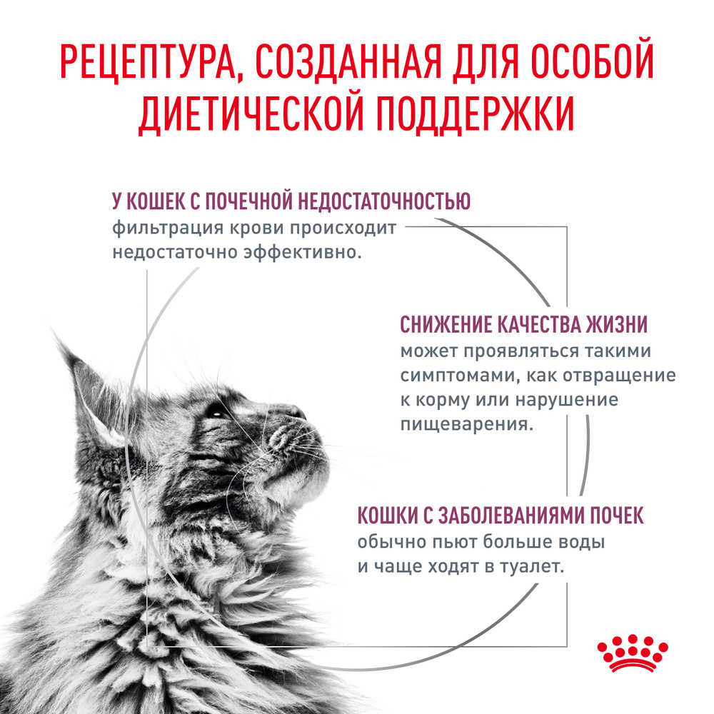 Royal Canin Renal Влажный корм (пауч) для поддержания функции почек у кошек, говядина, 85 гр. 3