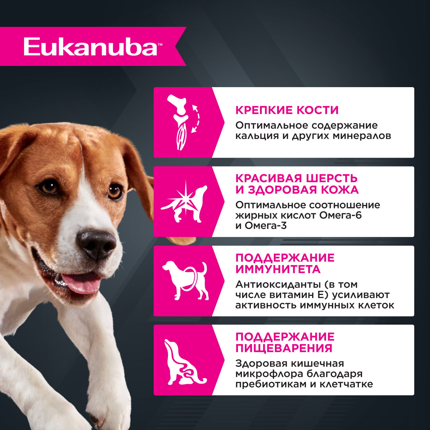 Eukanuba Adult all breed Влажный корм (пауч) для взрослых собак всех пород, с ягненком в соусе, 100 гр. 2
