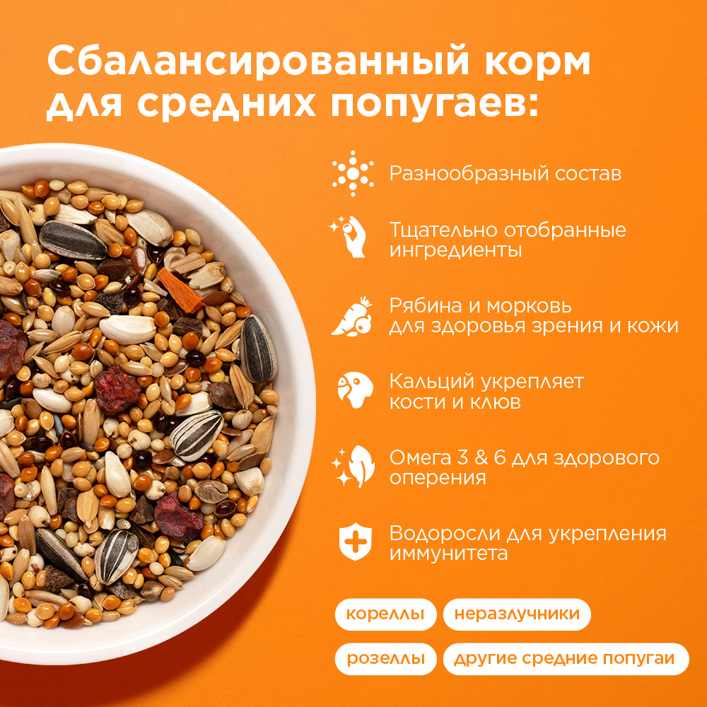 Корм для средних попугаев RIO основной, 1 кг 3