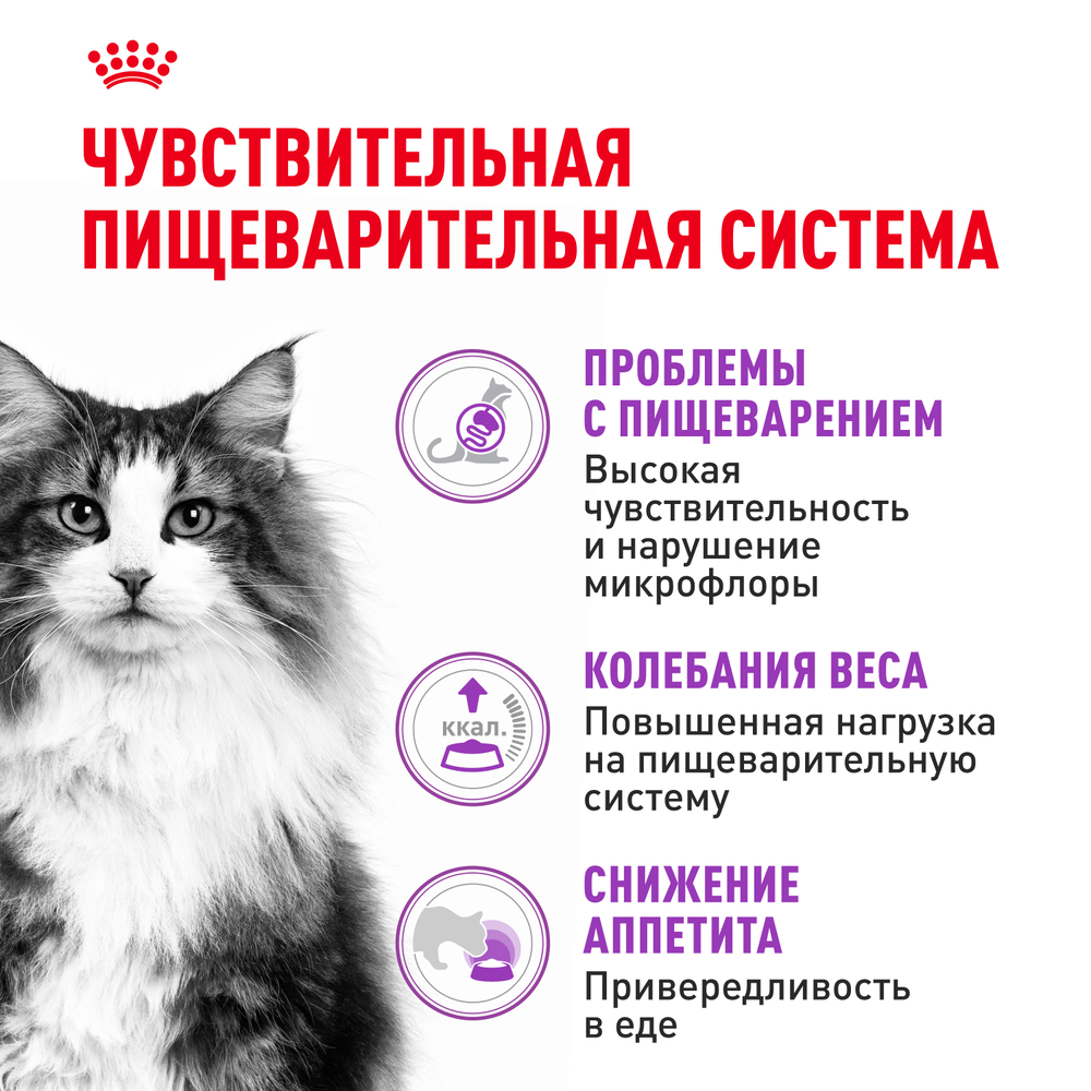 Royal Canin Sensible 33 Сухой корм для кошек с чувствительным пищеварением 200 г 2