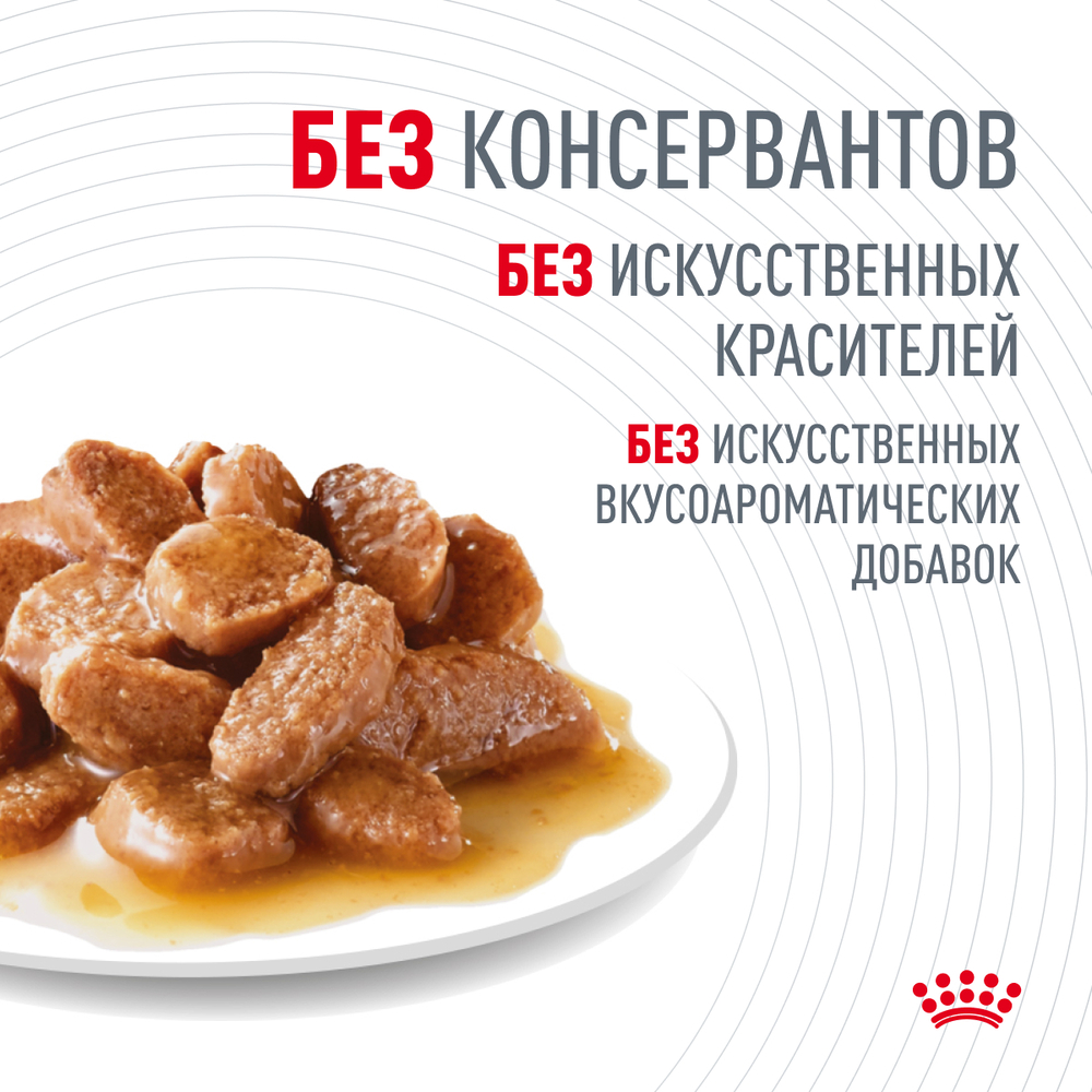 Royal Canin Intense Beauty Care Влажный корм (пауч) для поддержания здоровья кожи и блеска шерсти кошек, тонкие ломтики в соусе, 85 гр. 6