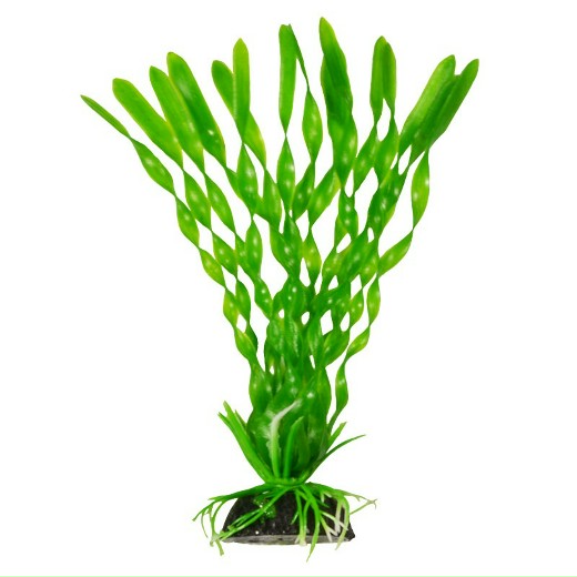 Растение Plant 014 Валиснерия спиральная 10 см