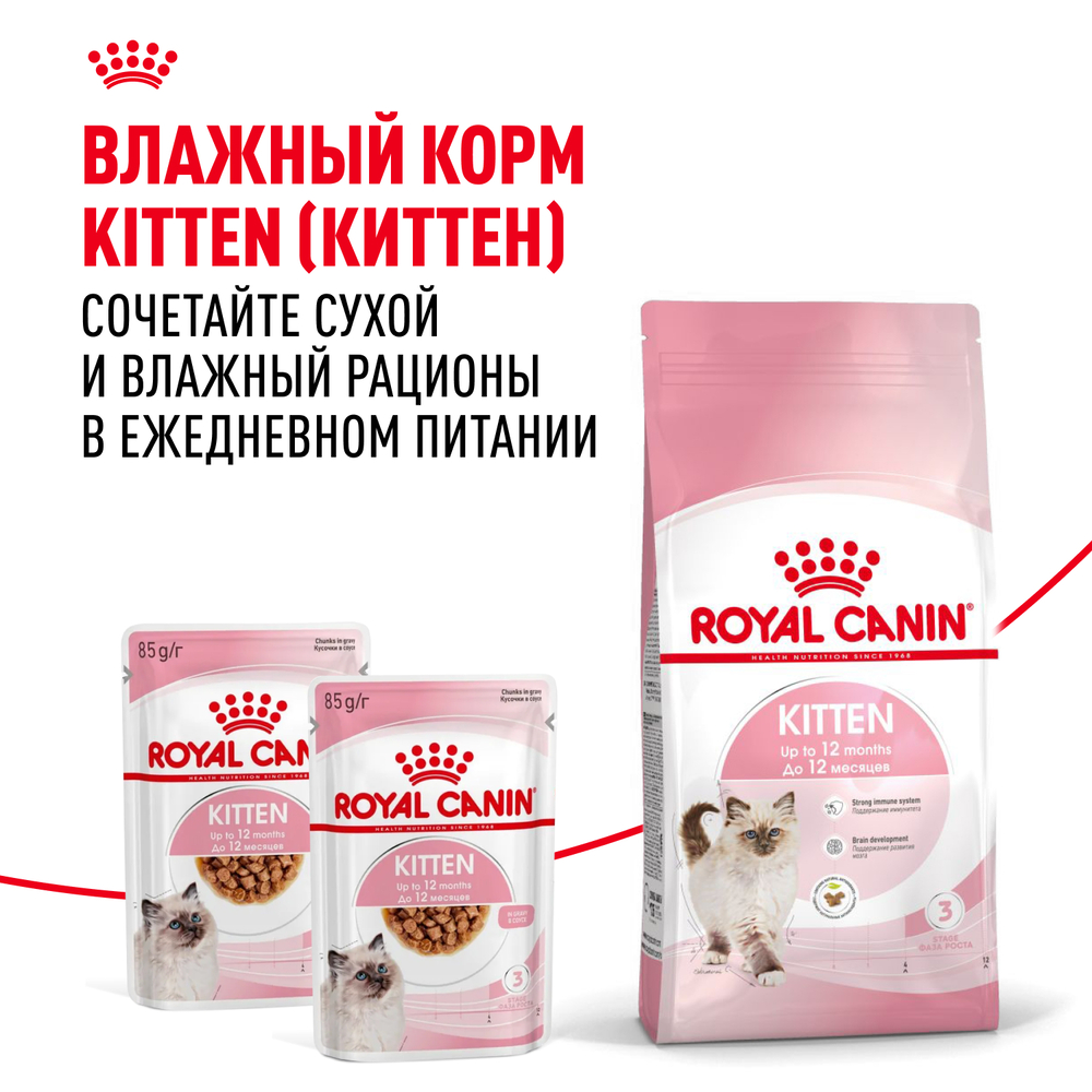 Royal Canin Kitten 36 Second Age Сухой корм для котят в возрасте от 4 до 12 месяцев, 300 гр. 8