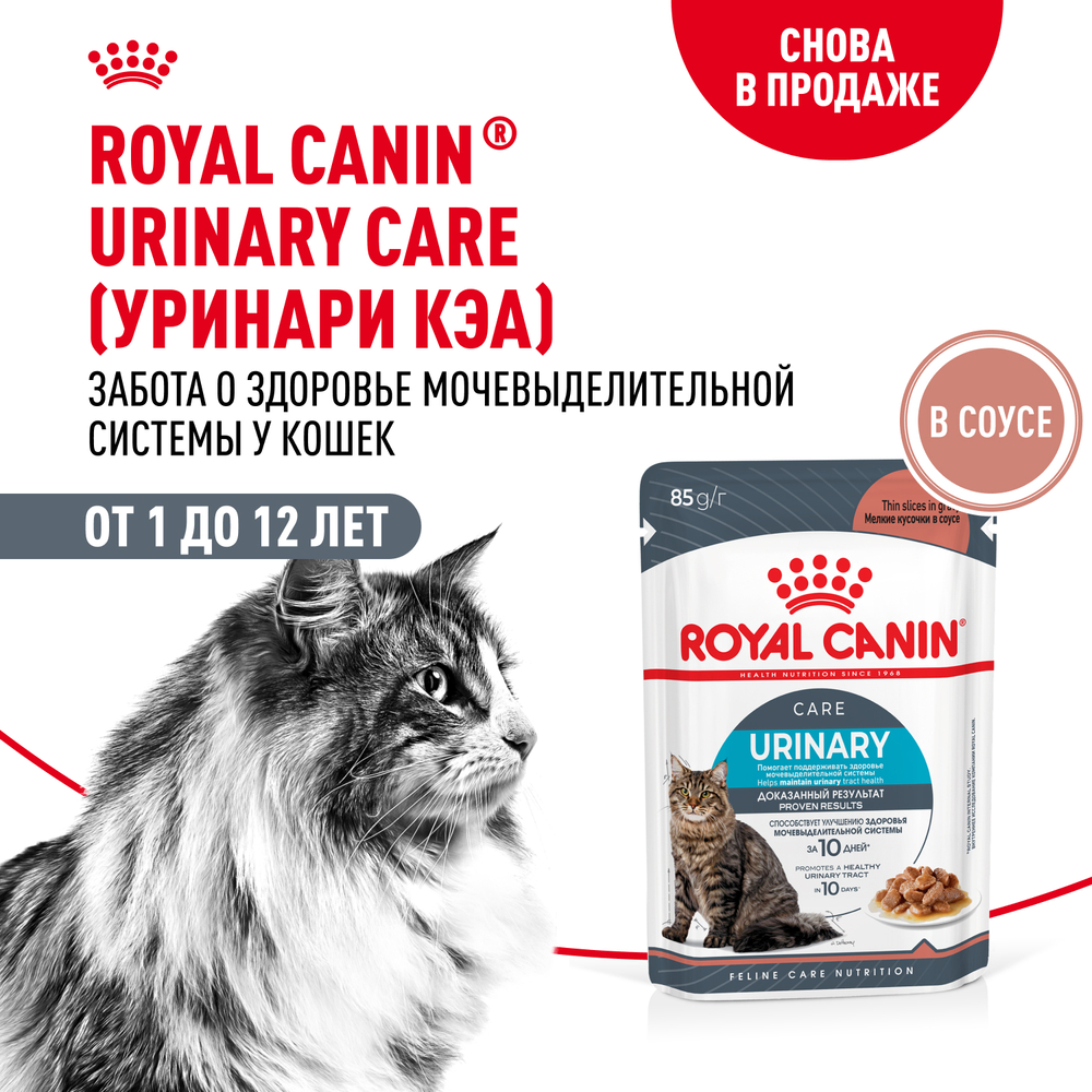 Royal Canin Urinary Care Влажный корм (пауч) для поддержания здоровья мочевыделительной системы у взрослых кошек, в соусе, 85 гр. 2