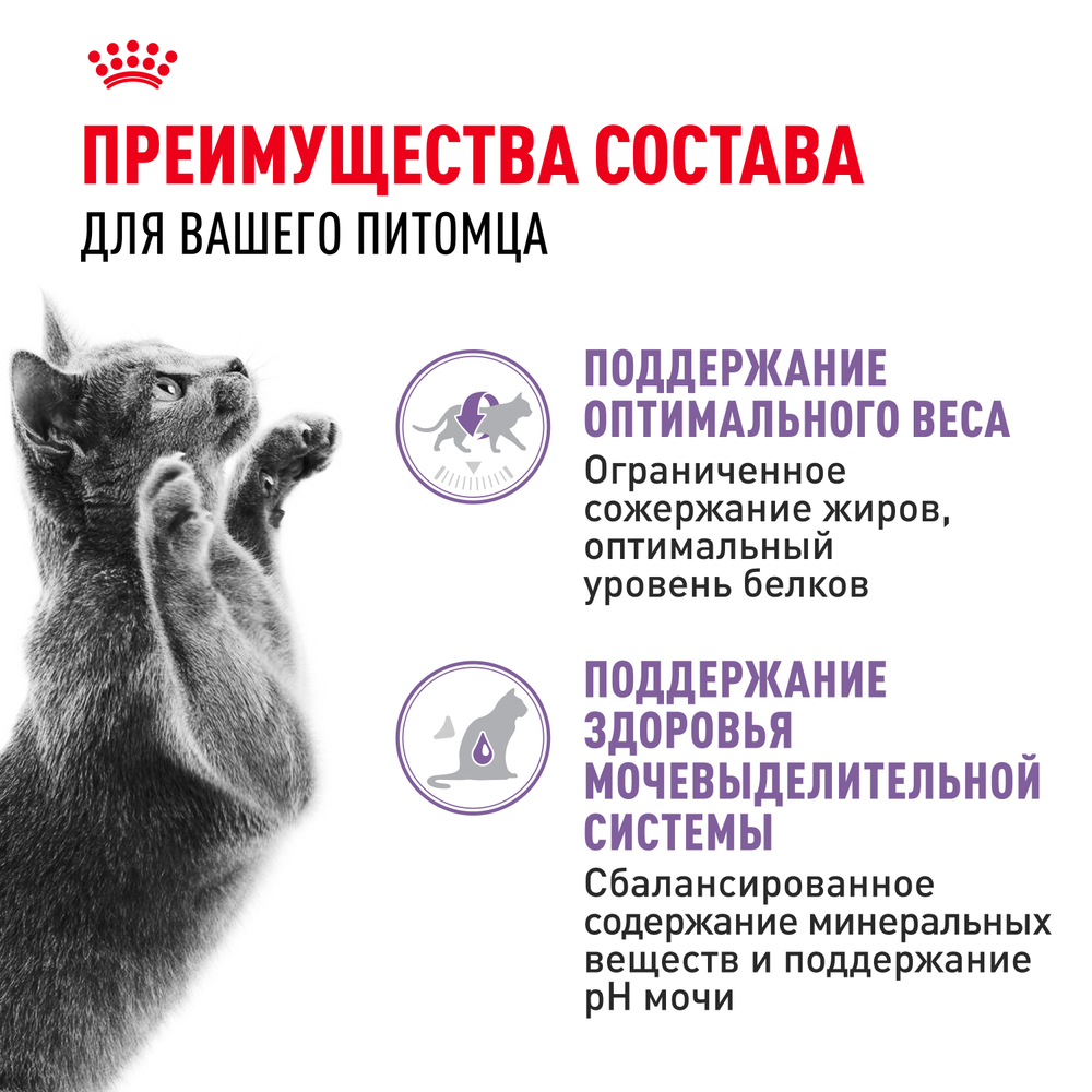Royal Canin Sterilised Влажный корм (пауч) для стерилизованных кошек, в желе, 85 гр. 3
