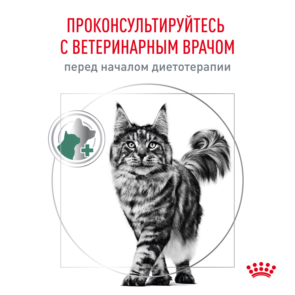Royal Canin Satiety weight management Влажный корм (пауч) для кошек для поддержания или снижения веса, 85 гр. 12