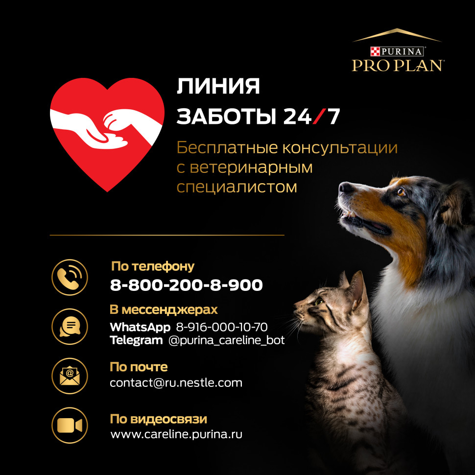 Pro Plan Healthy Start сухой корм для щенков мелких и карликовых пород, с курицей - 700 г 9