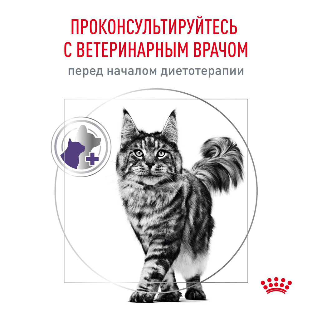 Royal Canin Neutered balance Влажный корм для стерилизованных кошек, кусочки в соусе, 85 г 10