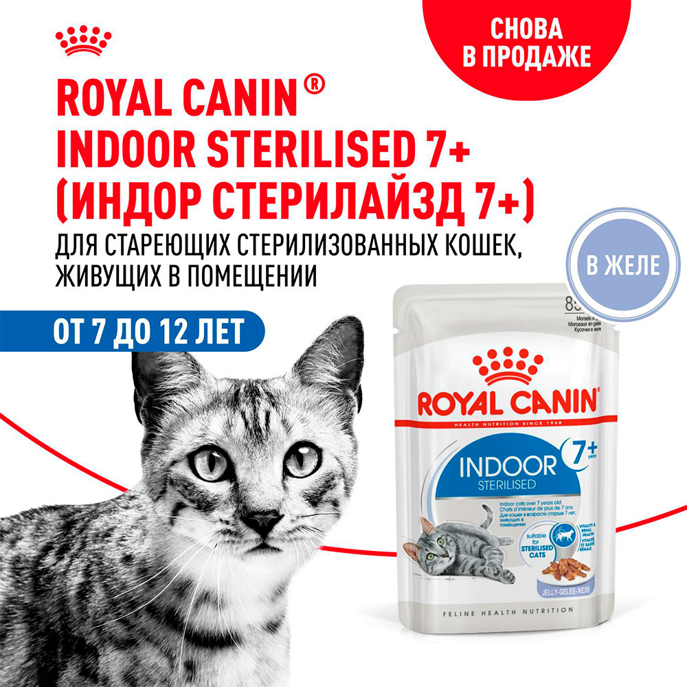 Royal Canin INDOOR 7+ Влажный корм (пауч) для пожилых кошек старше 7 лет, кусочки в желе, 85 гр. 2