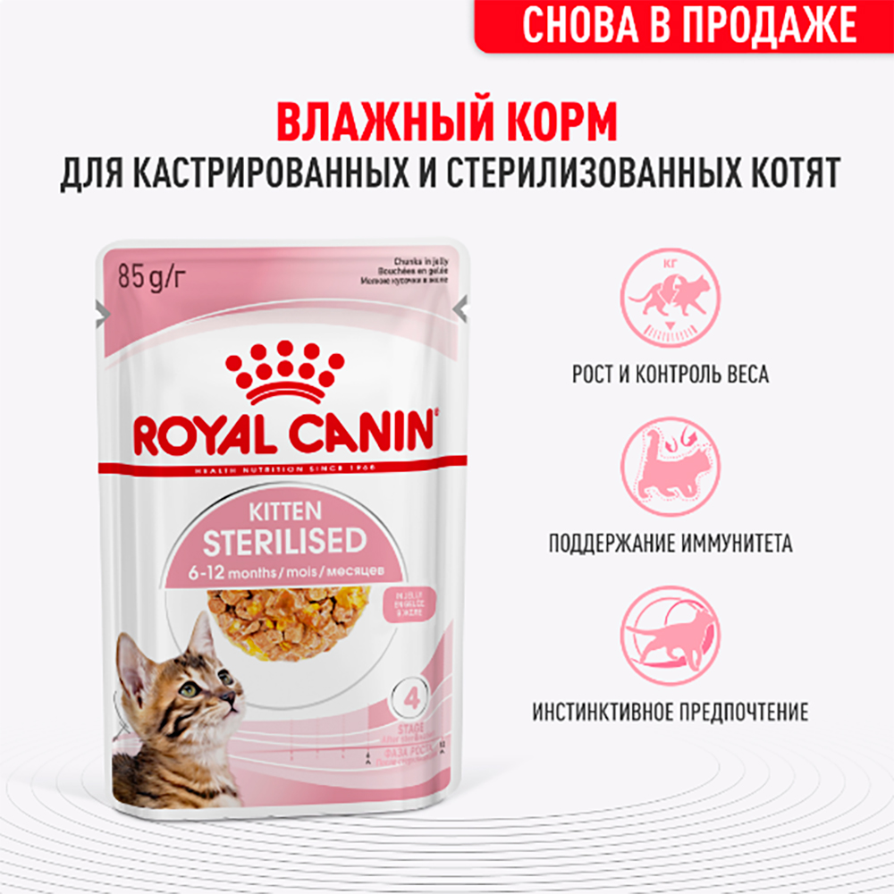 Royal Canin Kitten Sterilised Влажный корм (пауч) для кастрированных и стерилизованных котят, в желе, 85 гр. 2