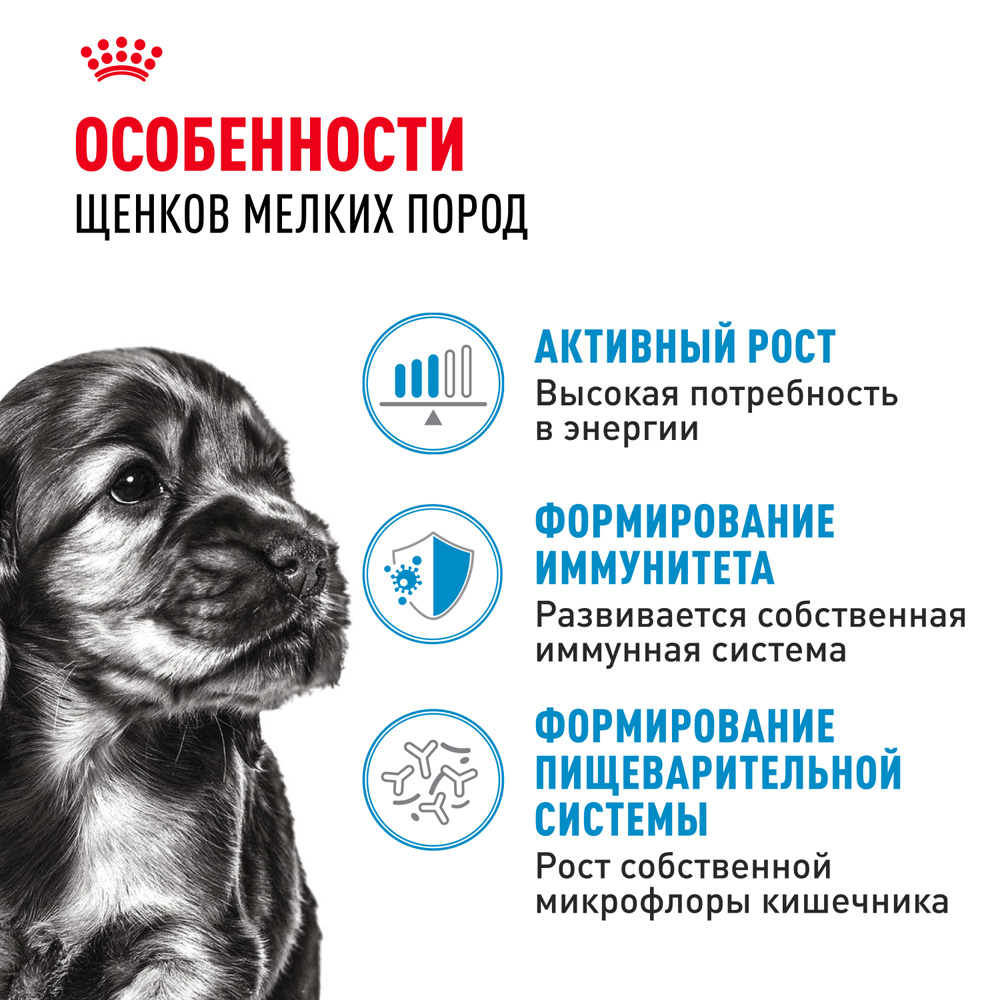 Royal Canin Mini Puppy Влажный корм (пауч) для щенков мелких пород, 85 гр. 2