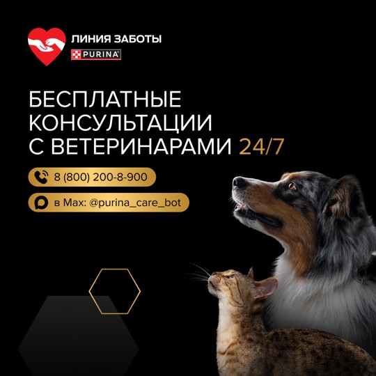 Сухой корм для взрослых стерилизованных кошек с чувствительным пищеварением Pro Plan Sterilised Delicate Digestion с курицей 1,5 кг 1