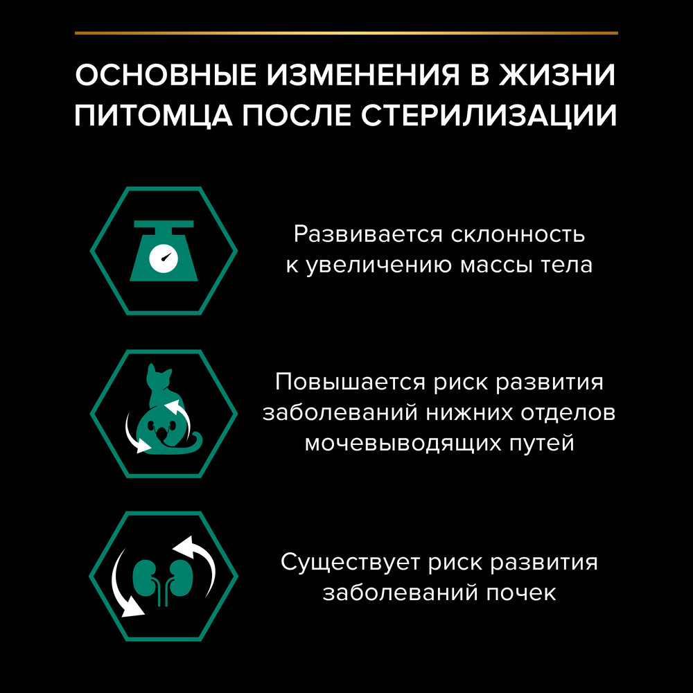PRO PLAN® Sterilised MAINTENANCE Влажный корм (пауч) для взрослых стерилизованных кошек, с лососем в соусе, 85 гр. 2