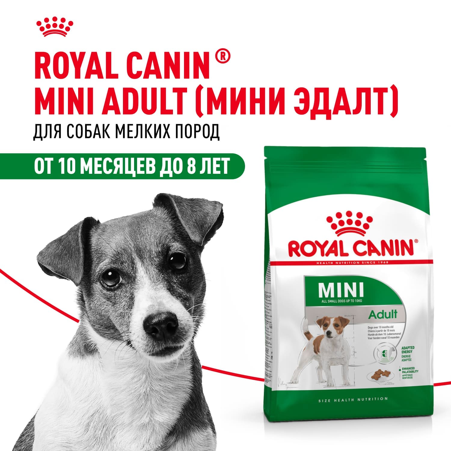 Сухой корм для взрослых собак мелких пород Royal Canin Mini Adult (Мини эдалт) 2 кг 3