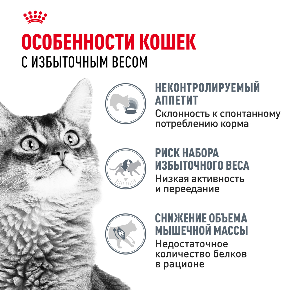 Royal Canin Light Weight Care Влажный корм (пауч) для взрослых кошек, в желе, 85 гр. 3