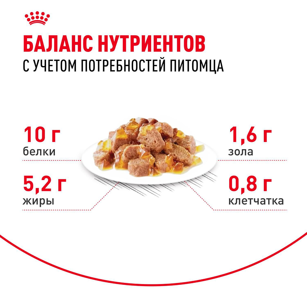 Royal Canin Ageing 12+ Влажный корм (пауч) для пожилых кошек старше 12 лет, кусочки в желе, 85 гр. 5