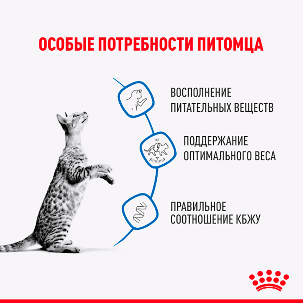 Royal Canin Indoor Sterilised Влажный корм (пауч) для стерилизованных кошек, живущих в помещении, 85 гр. 3