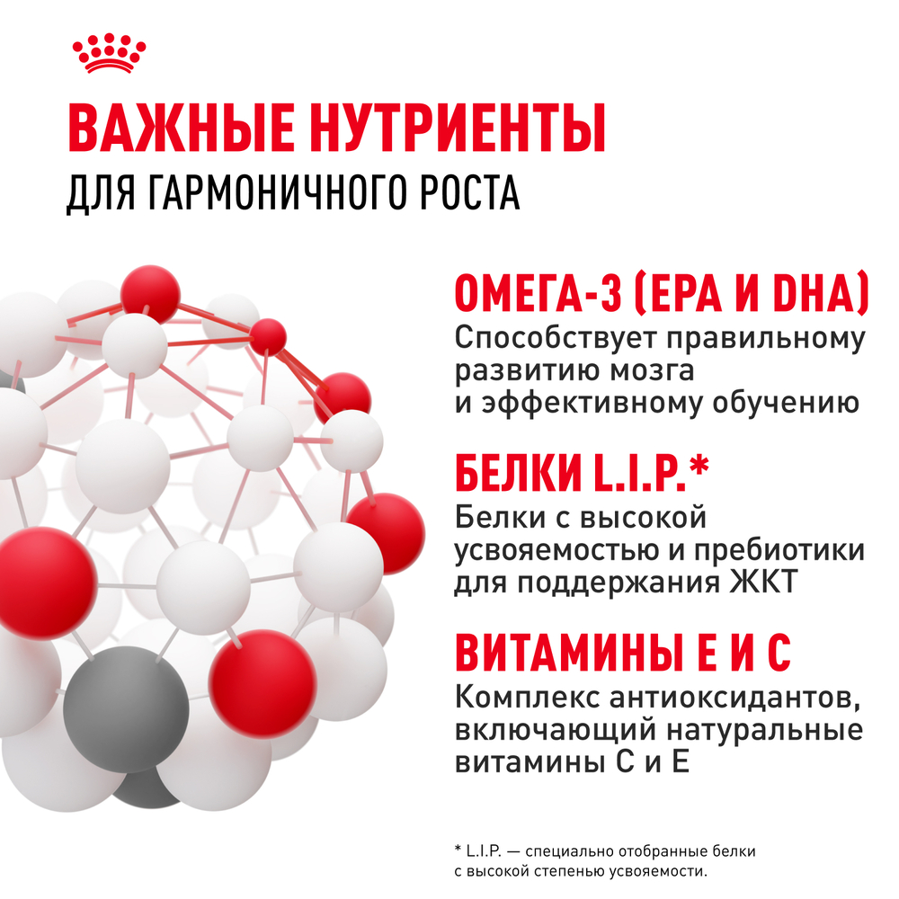 Royal Canin Maxi Puppy Сухой корм для щенков крупных пород в возрасте от 2 до 15 месяцев, 3 кг 5