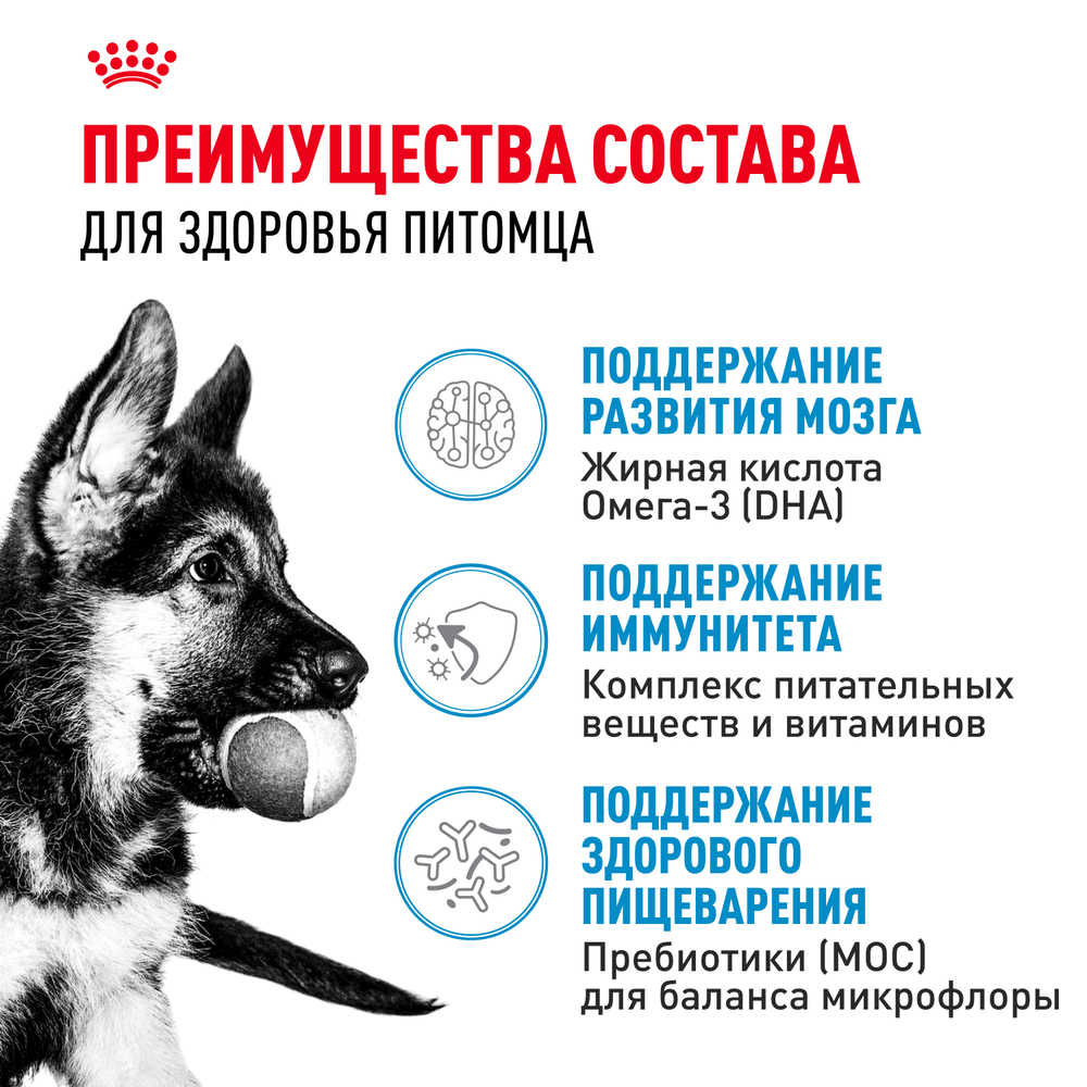 Royal Canin Maxi Puppy Сухой корм для щенков крупных пород в возрасте от 2 до 15 месяцев, 3 кг 3