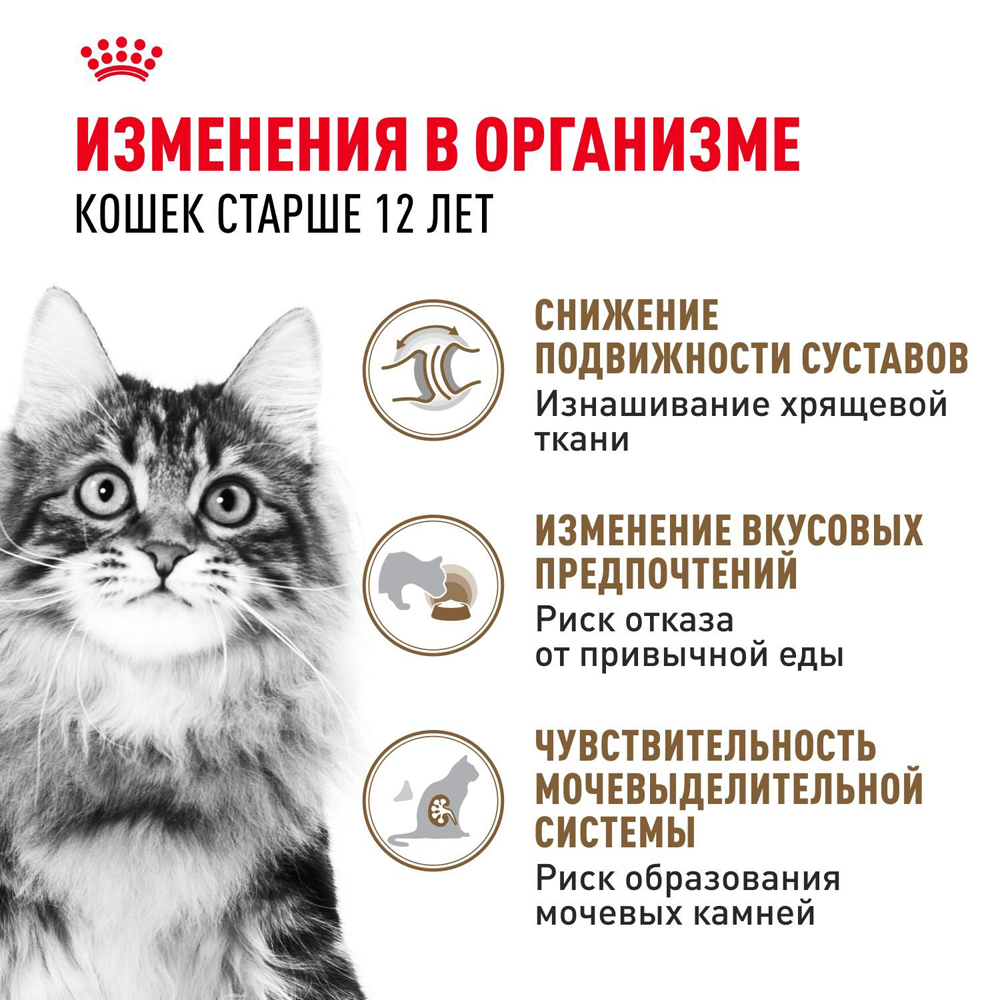 Royal Canin Ageing 12+ Влажный корм (пауч) для пожилых кошек старше 12 лет, кусочки в желе, 85 гр. 3