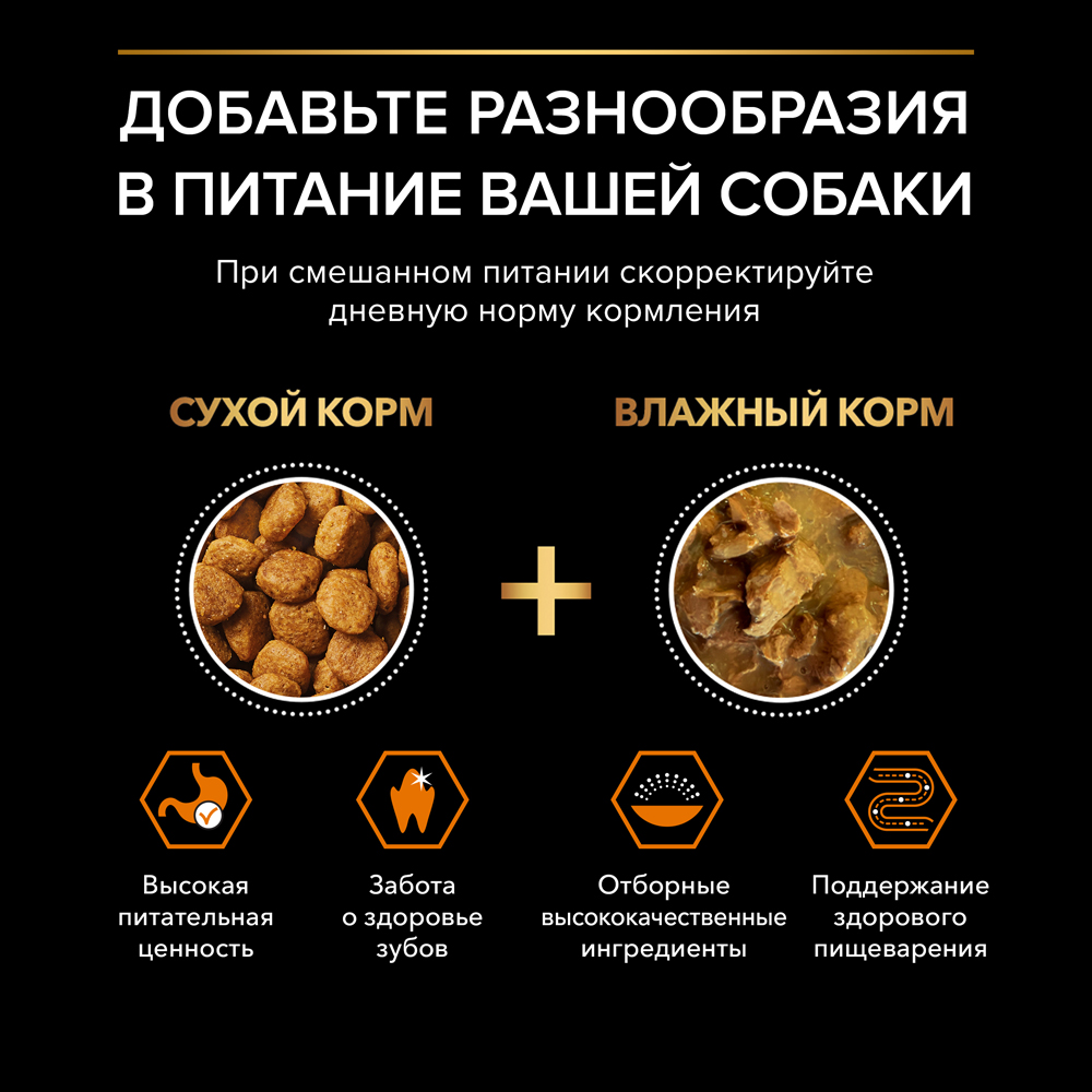 PRO PLAN® Everyday Nutrition Сухой корм для взрослых собак мелких и карликовых пород, с курицей, 7 кг 11