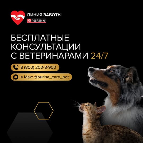 Сухой корм для котят с чувствительным пищеварением Pro Plan Delicate Digestion c индейкой 1,5 кг