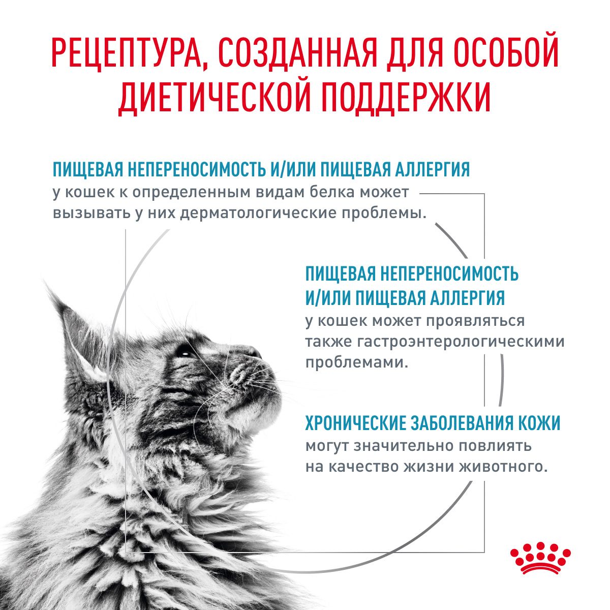Royal Canin Hypoallergenic Сухой корм для кошек с пищевой аллергией, 350 гр. 4