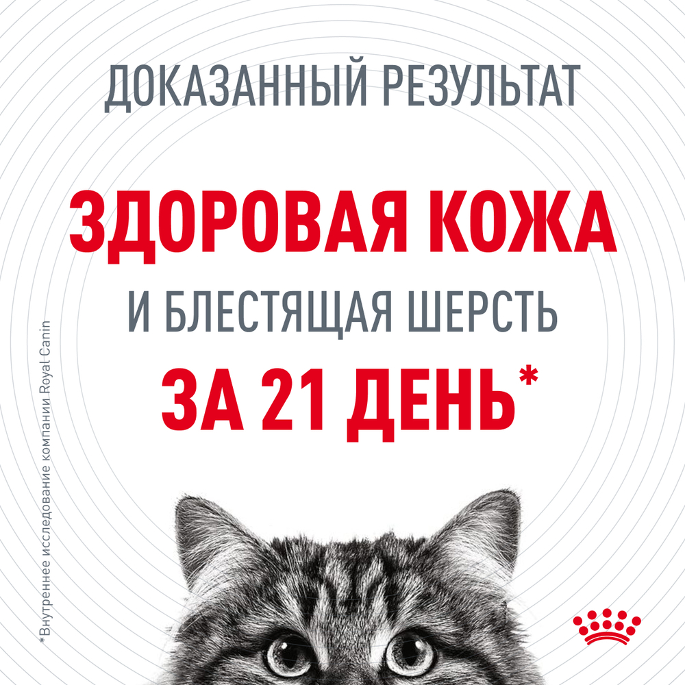 Royal Canin Intense Beauty Care Влажный корм (пауч) для поддержания здоровья кожи и блеска шерсти кошек, тонкие ломтики в соусе, 85 гр. 4