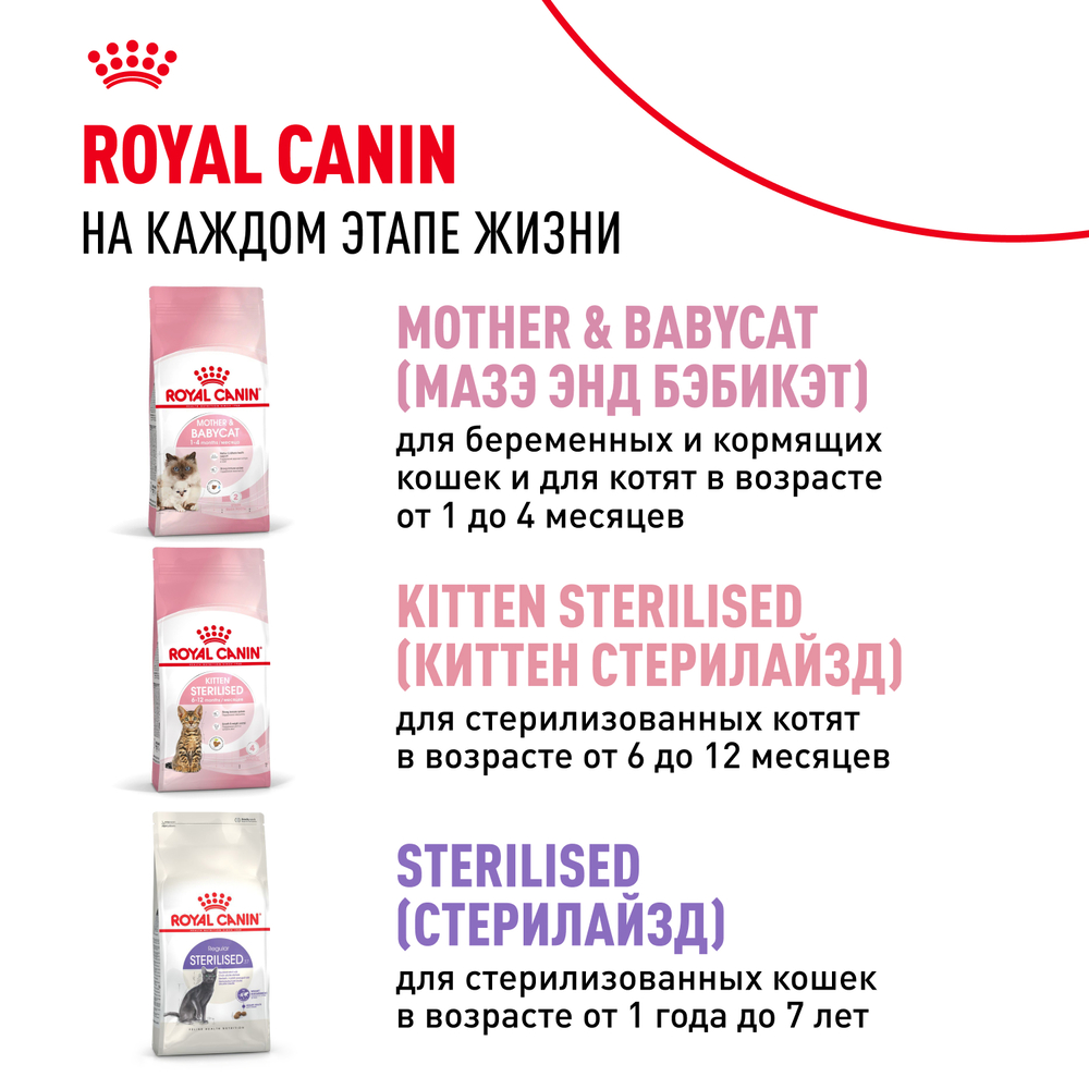Royal Canin Kitten 36 Second Age Сухой корм для котят в возрасте от 4 до 12 месяцев, 300 гр. 10
