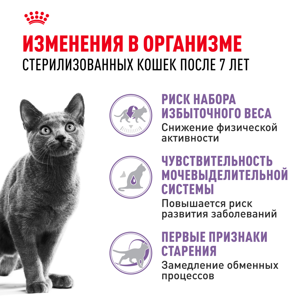 Royal Canin Sterilised Сухой корм для стерилизованных кошек старше 7 лет, 400 гр. 2