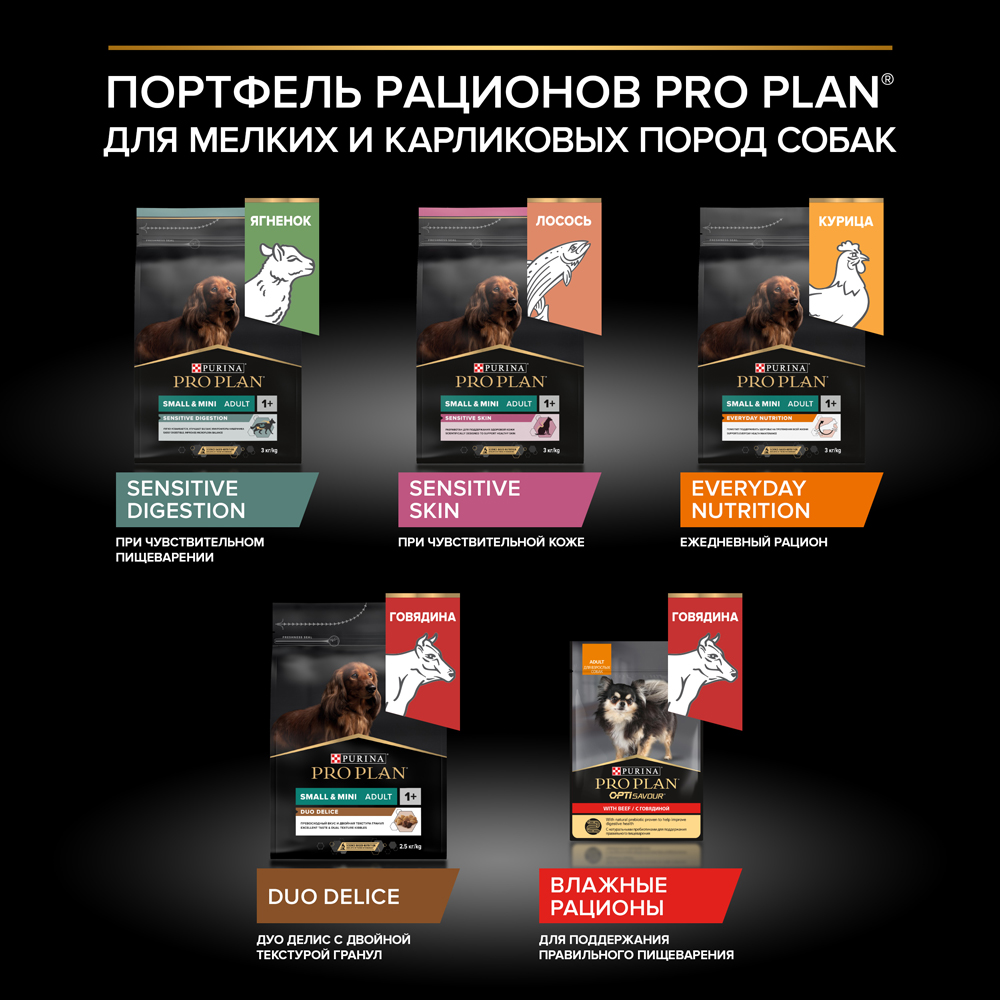 PRO PLAN® Everyday Nutrition Сухой корм для взрослых собак мелких и карликовых пород, с курицей, 7 кг 12