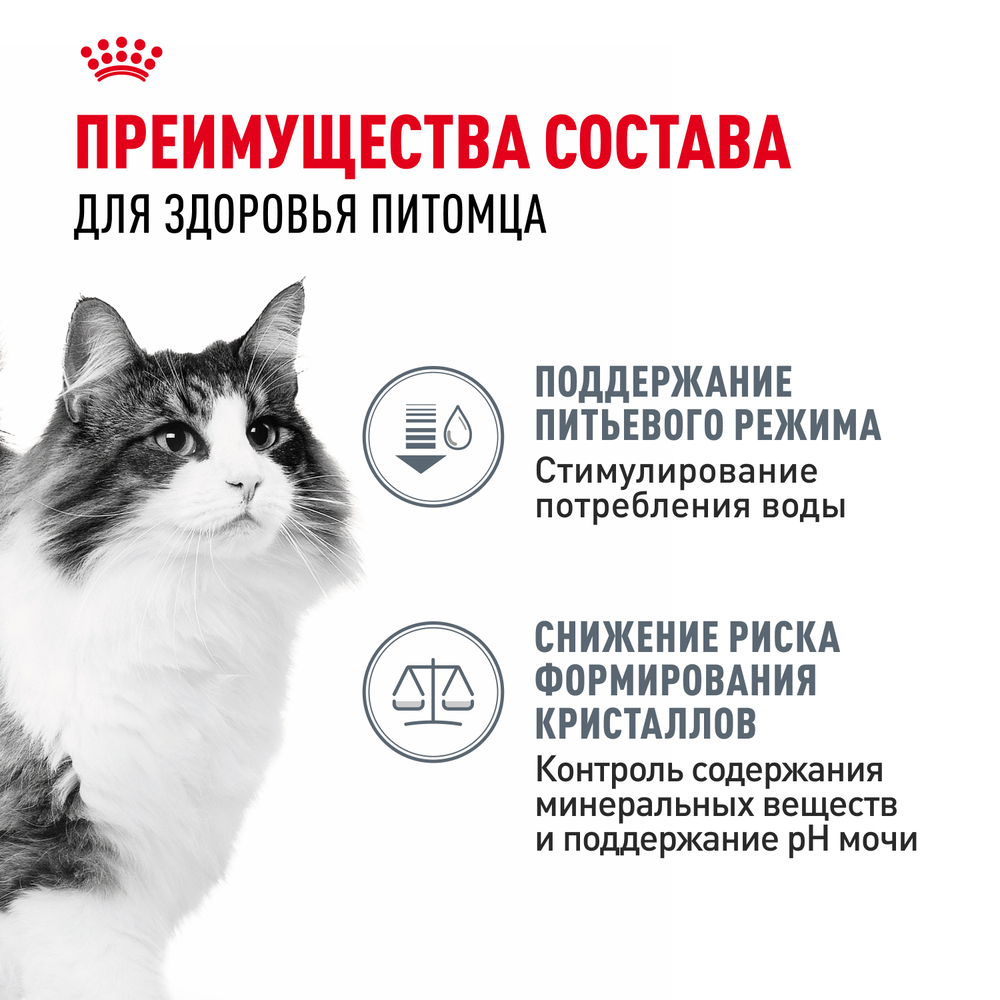 Royal Canin Urinary Care Влажный корм (пауч) для поддержания здоровья мочевыделительной системы у взрослых кошек, в соусе, 85 гр. 4