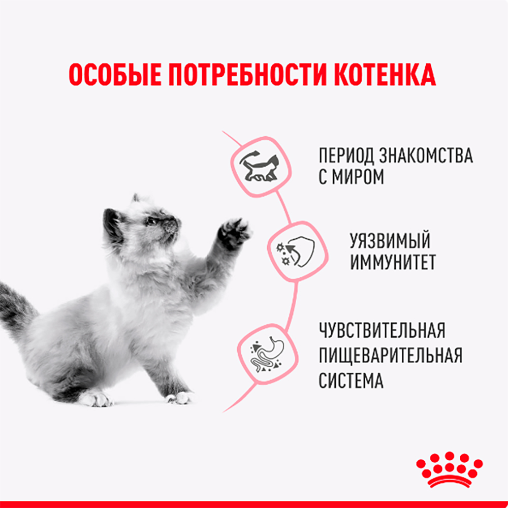 Royal Canin Kitten Sterilised Влажный корм (пауч) для кастрированных и стерилизованных котят, в желе, 85 гр. 3