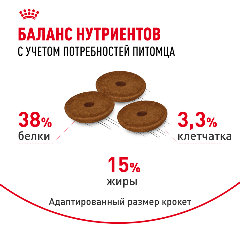 Royal Canin Digestive Care Сухой корм для взрослых кошек старше 1 года при чувствительной пищеварительной системе, 2 кг 7