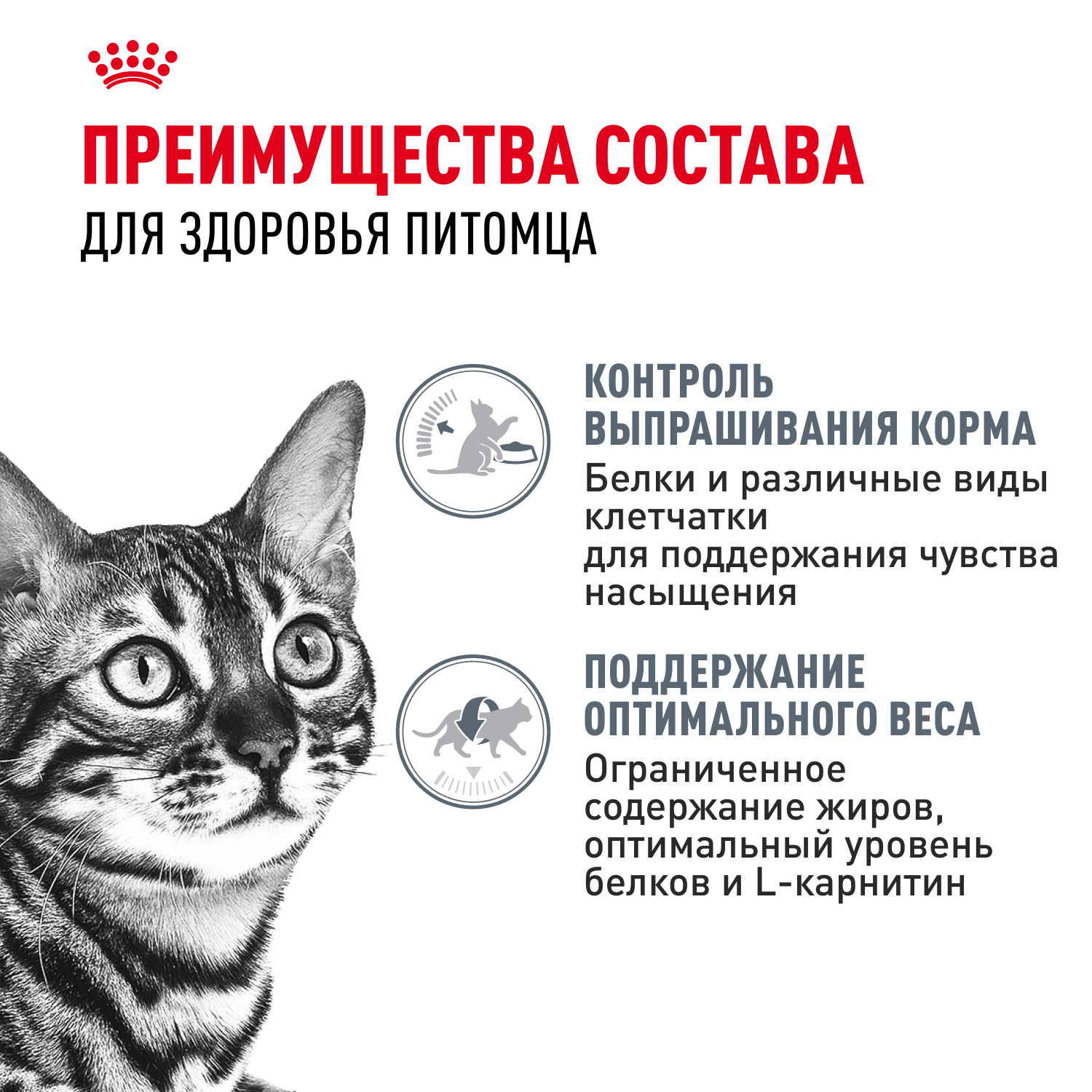 Royal Canin Appetite Control Влажный корм для кошек, для контроля выпрашивания корма, в соусе, 85 г 4