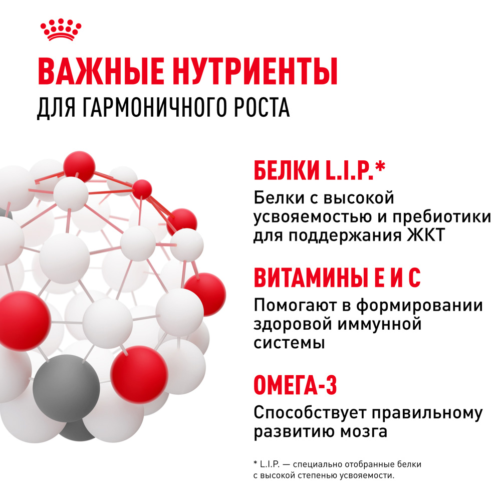 Royal Canin Mini Puppy Влажный корм (пауч) для щенков мелких пород, 85 гр. 5