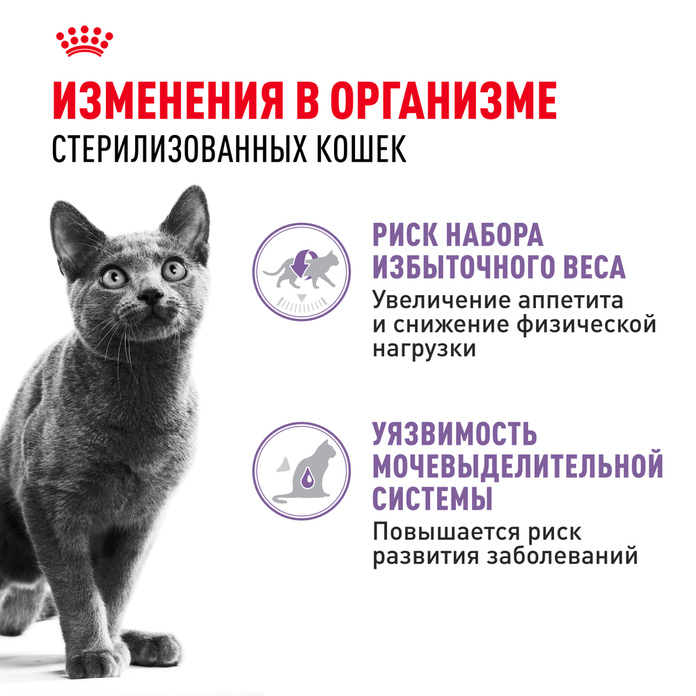 Royal Canin Sterilised Влажный корм (пауч) для стерилизованных кошек, в желе, 85 гр. 2