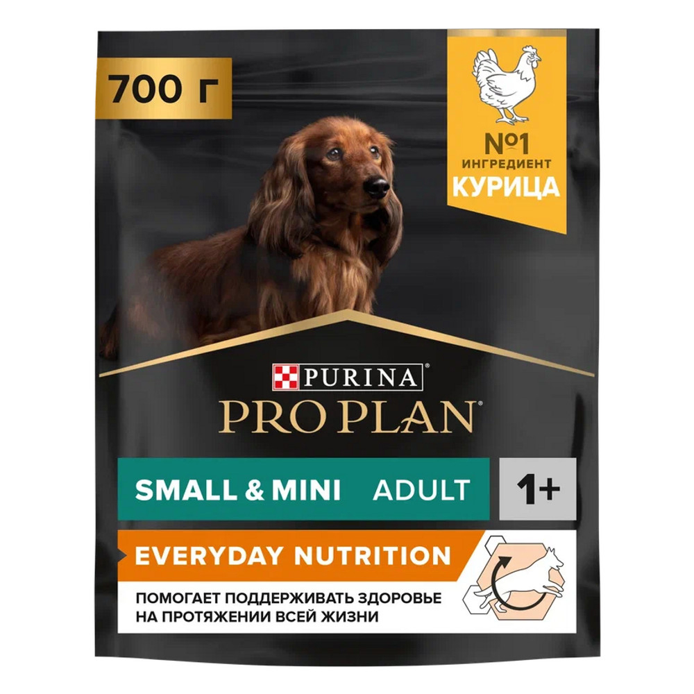 PRO PLAN® Everyday Nutrition Сухой корм для взрослых собак мелких и карликовых пород, с курицей, 7 кг 2