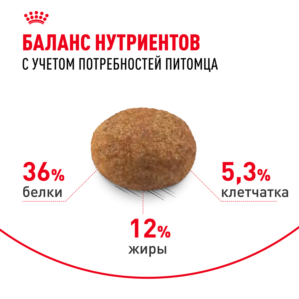 Royal Canin Sterilised Сухой корм для стерилизованных кошек старше 7 лет, 400 гр. 4