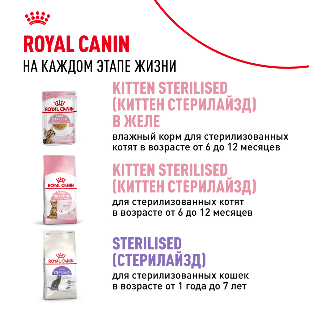 Royal Canin Kitten Влажный корм (пауч) для котят от 4 до 12 месяцев, кусочки в соусе, 85 гр. 10