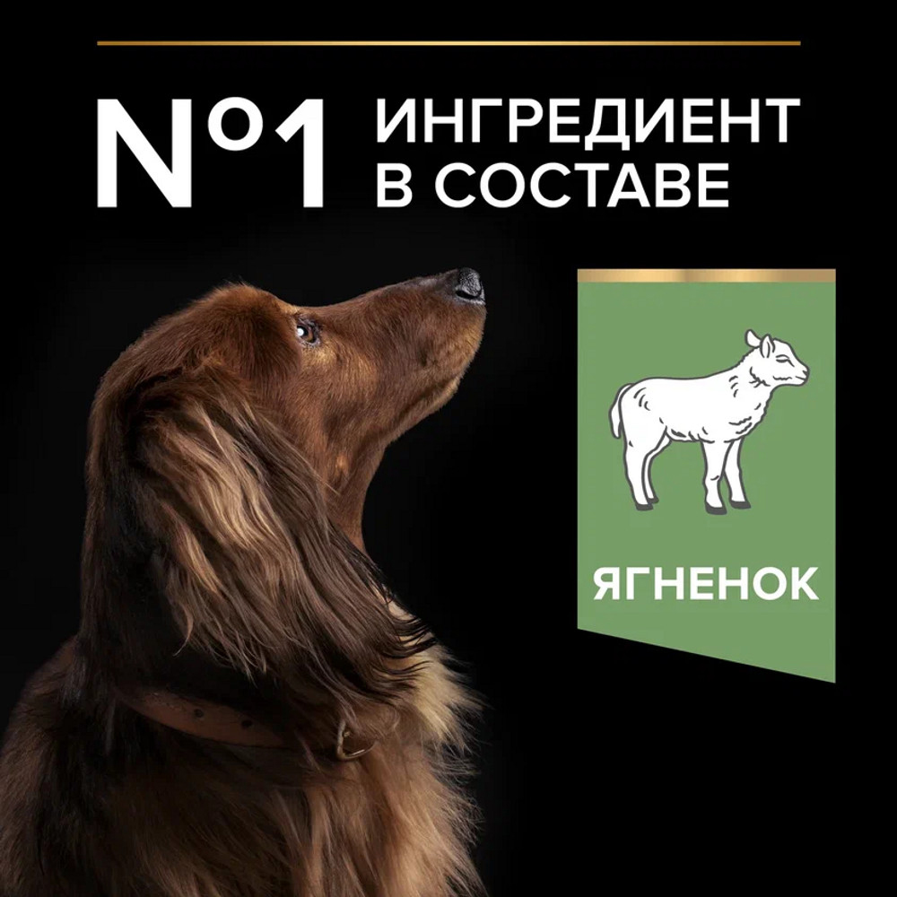 PRO PLAN Sensitive Digestion Сухой корм для взрослых собак для мелких и карликовых пород с чувствительным пищеварением, с высоким содержанием ягненка, 700 г 7